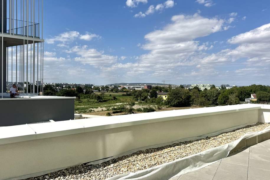 Erstbezug mit traumhafter Terrasse - zu Fuß zur Alten Donau und dem Donauzentrum, Wohnung-miete, 899,00,€, 1210 Wien 21., Floridsdorf