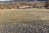RARITÄT: LANDWIRTSCHAFT IM ERZHERZOG JOHANN BAUSTIL IM OSTSTEIRISCHEN HÜGELLAND - ERWEITERBAR