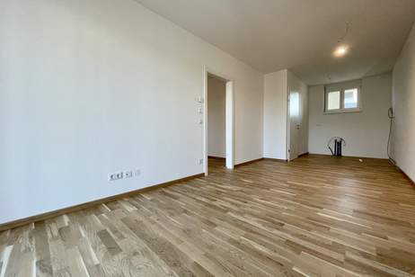 Anleger aufgepasst! Befristet vermietete 2-Zimmerwohnung mit großem Balkon inkl. Küche! Provisionsfrei!, Wohnung-kauf, 224.280,€, 8054 Graz(Stadt)