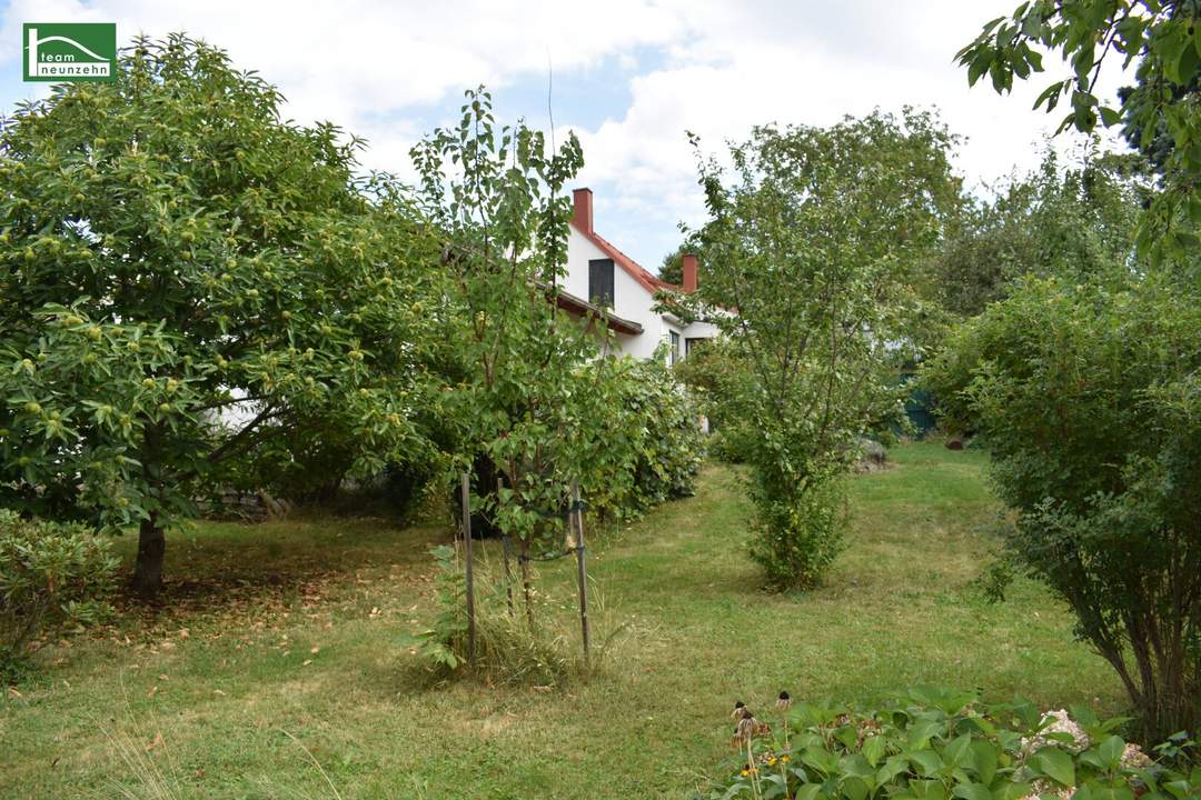 Ländliche Idylle im Burgenland: Charmantes Landhaus mit 4 Zimmern, 130 m², Garten, Terrasse, u.v.m.. - WOHNTRAUM
