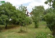Ländliche Idylle im Burgenland: Charmantes Landhaus mit 4 Zimmern, 130 m², Garten, Terrasse, u.v.m.. - WOHNTRAUM