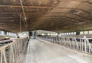 Einzigartige Landwirtschaft mit zwei Wohnhäusern, Wirtschaftsgebäuden, Wald- und Ackerflächen im Lavanttal