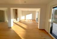 Prachtexemplar an der unteren alten Donau !