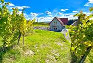 3-Zimmer Dachgeschosswohnung inmitten der Weinberge von Klöch - Erstbezug!