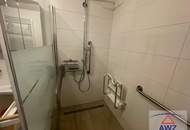 Stadthaus mit zwei Wohneinheiten, ruhigem Hof und Garten in Zentrumsnähe von Horn!