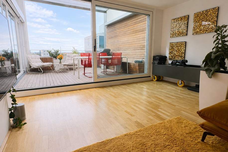 Terrassenwohnung/Donaupromenade -Seltene Gelegenheit für Anspruchsvolle Käufer!, Wohnung-kauf, 795.000,€, 4020 Linz(Stadt)