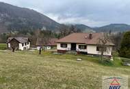 Kleine Landwirtschaft mit schönem Wohnhaus!