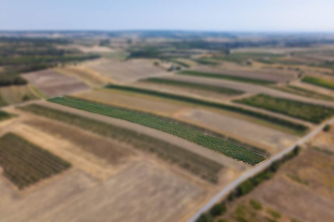 Landwirtschaftliches Grundstück in der KG Bockfließ - 5681m2