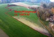 ***OPEN HOUSE 14. Dezember 2024 10 bis 14 Uhr***Ehemaliges Sacherl mit viel Platz , Wald und Wiese