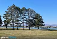 Familienglück, verstärkt durch vielfältige Angebote