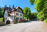 Außergewöhnliche Villa in absolut ruhiger Waldrandlage I Rund um Natur pur nahe Lainzer Tiergarten I Ausbauen+sanieren