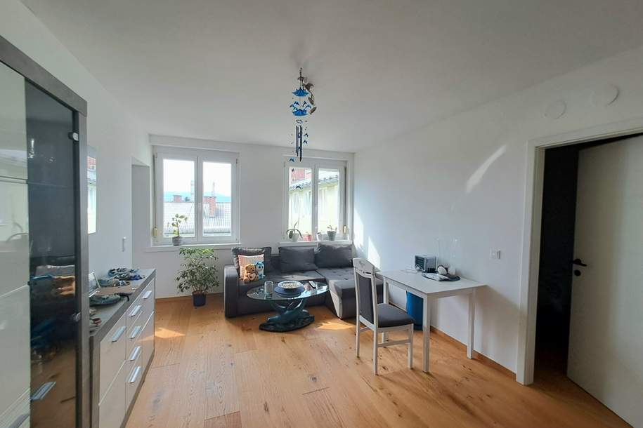 Top renovierte 2 Zimmer mit herrlichem Blick - derzeit bis 5/2027 vermietet, Wohnung-kauf, 145.000,€, 2700 Wiener Neustadt(Stadt)