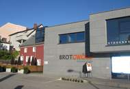 LOFT mit Galerie und vielen Nutzungsmöglichkeiten!