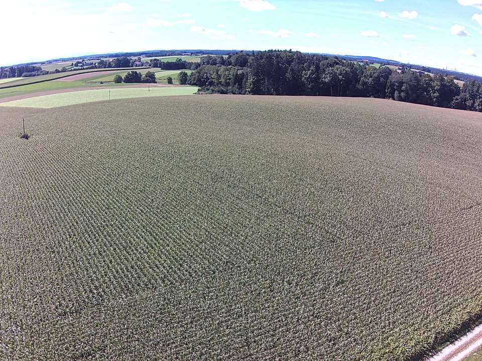 Große Ackerfläche mit guter Anbindung