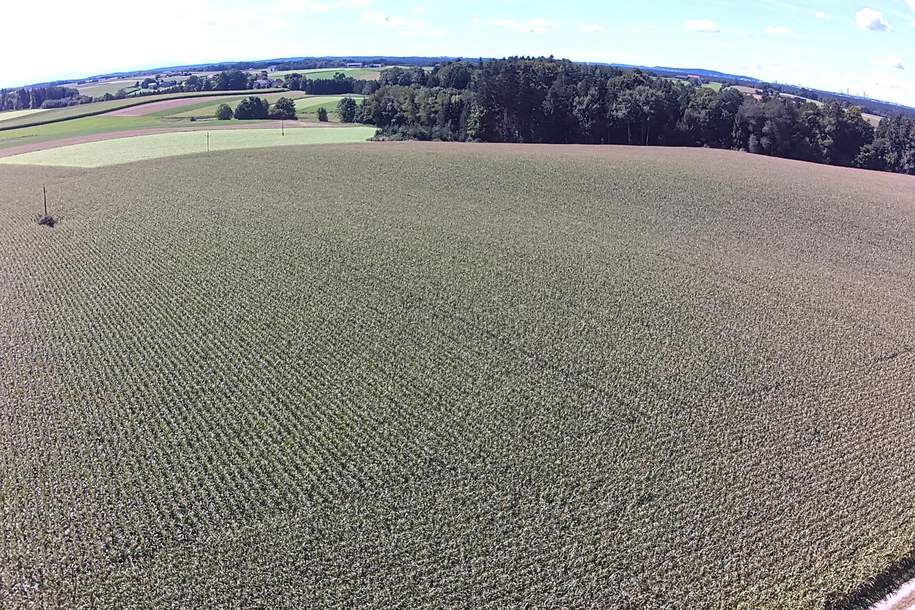 Große Ackerfläche mit guter Anbindung, Grund und Boden-kauf, 5134 Braunau am Inn