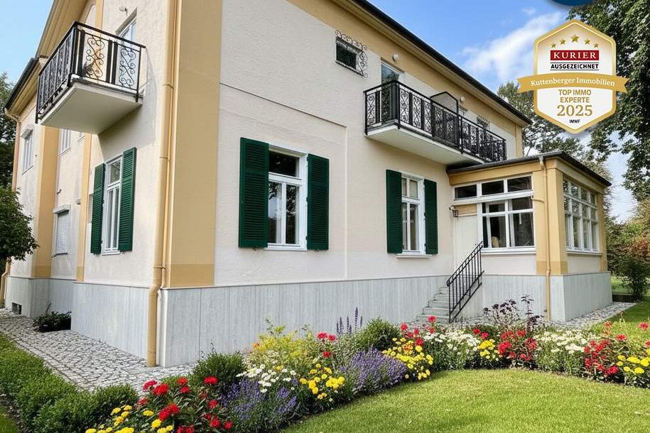 Preisreduktion ! Historisches Herrenhaus im Villenviertel von Baden: ca.450m² WF mit Grundfläche von 1873qm und 17 Zimmern zum Sanieren! (V2 &amp; Schut, Haus-kauf, 1.190.000,€, 2500 Baden