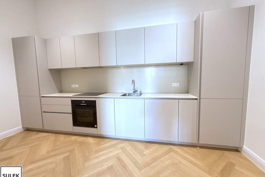 Erstbezug nach Sanierung: perfekte Wohnung inmitten der Innenstadt - ab sofort!, Wohnung-miete, 2.850,16,€, 1010 Wien 1., Innere Stadt