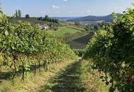 Landwirtschaftliche Fläche: Obstplantagen - Weingartenkultur!