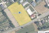 Bodensdorf am Ossiacher See: rd. 9.300qm Wiese (Grünland) mit Potential ++SEENAH++