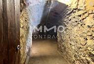 4ZI-REIHENHAUS mit NEBENGEBÄUDE (BÜRO) in Grünlage inkl.2 Parkpl. Landesförderung möglich - keine Käuferprovision