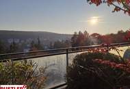 Gartenterrasse mit traumhaften Ausblick - idyllische Lage nahe Neustift am Walde