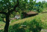 Wachauromantik: Landhaus mit terrassenförmigem Grundstück – Donaublick vom oberen Grundstücksbereich