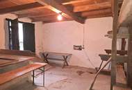 Weinkeller mit Presshaus und Kellerröhre!