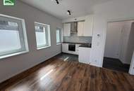 Moderne Neubauwohnung mit Terrasse und Garten beim Kuchelaufer Hafen &amp; Kahlenbergerdorf