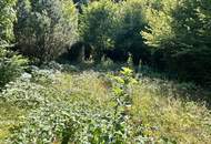 "Rarität in Mauerbach"