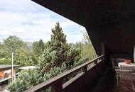 Feistritz im Rosental - idyllisches Häuschen für Singles oder Paare mit Nebengebäuden