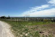 FÜR LANGFRISTIGE ANLEGER IN ORTSRAND-RUHELAGE MIT TOP PANORAMA