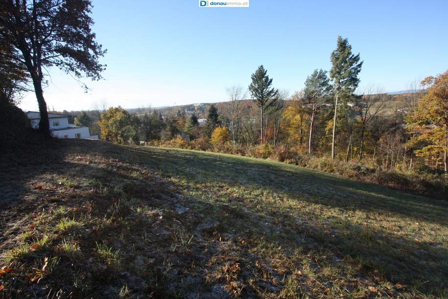 Schönes und ruhig gelegenes Baugrundstück in Bad Tatzmannsdorf, Grund und Boden-kauf, 151.500,€, 7431 Oberwart