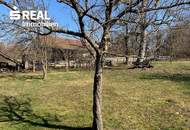 Seltene Gelegenheit: Großes Haus mit 3.100 m² Grundstück in Bad Tatzmannsdorf