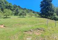 Sonniges Baugrundstück in Panoramalage Nähe LKH Bruck/Mur