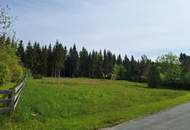 Schöner, ruhiger und großer Baugrund in Preitenegg - 1.100 m ü. A.