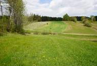 Waldviertler Landhaus mit riesigen, angrenzenden Grundstücken