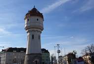 Wiener Neustadt – wo urbanes Leben und Natur harmonisch verschmelzen