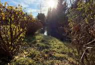 Einzigartiges Baugrundstück mit großem Schwimmteich in Graz