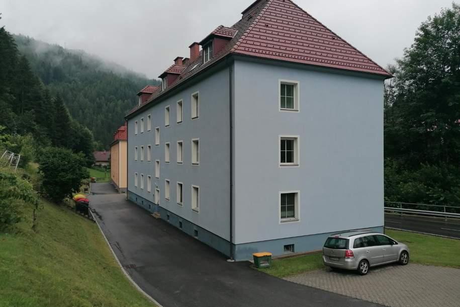 Helle Eigentumswohnung in Großveitsch 67,7m², Wohnung-kauf, 45.000,€, 8662 Bruck-Mürzzuschlag