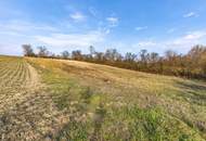 EINZIGARTIGE GELEGENHEIT! BAUERNHOF MIT 9789 m² LANDWIRTSCHAFT & 2421 m² WEINGARTEN! FÜR NATURFREUNDE & TIERLIEBHABER!