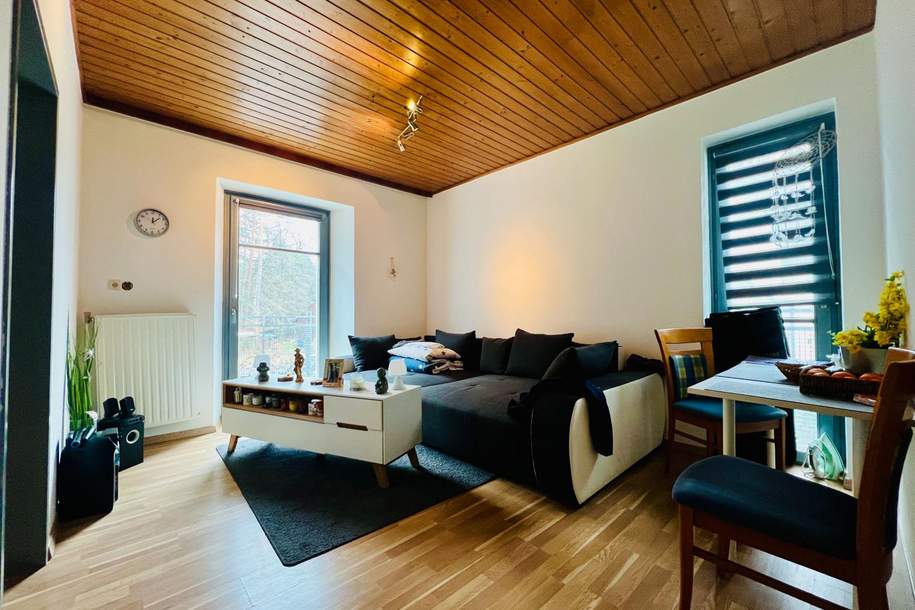 Nette 2-Zimmer-Anlagewohnung mit Balkon, Wohnung-kauf, 93.000,€, 8044 Graz-Umgebung