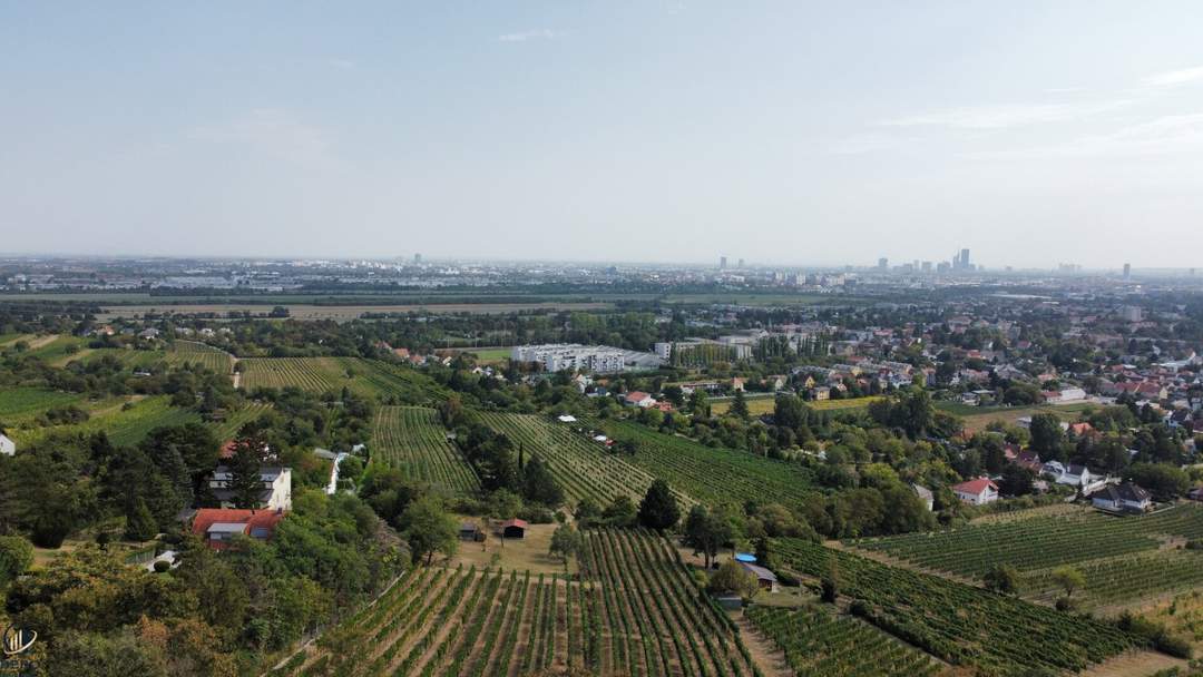 Perfekter Eigengrund für ein absolutes Traumhäuschen! Zurückziehen und Wohlfühlen an der Wiener Stadtgrenze!