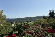 "Ein Zuhause mit Gefühl – und einem Blick, der berührt" | ZELLMANN IMMOBILIEN