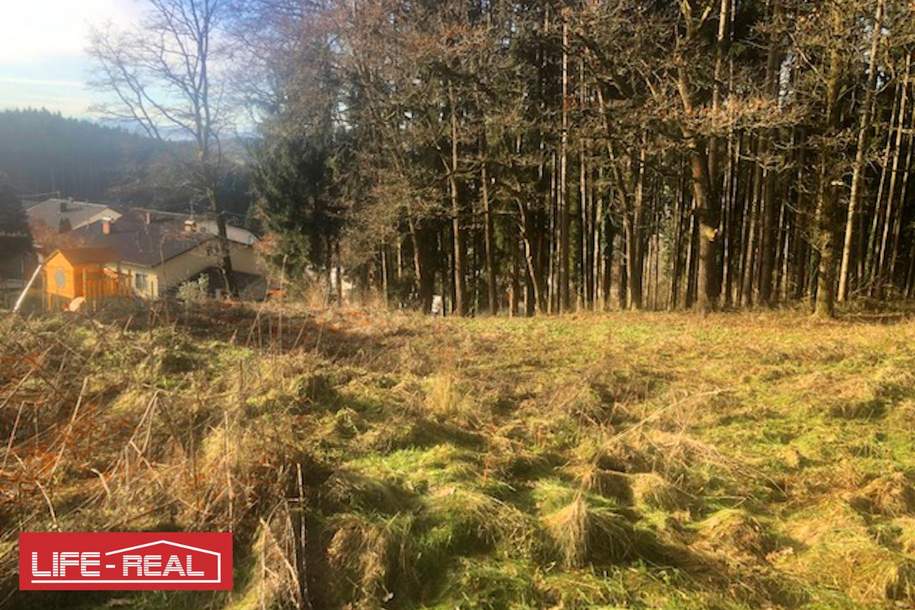 Am Wald grenzendes Baugrundstück, Grund und Boden-kauf, 112.900,€, 4843 Vöcklabruck