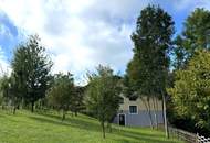 PREIS - LEISTUNG - UNSCHLAGBAR - Gepflegtes Einfamilienhaus zum fairem Preis - Koffer packen und einziehen - LEGEN SIE IHR ANGEBOT