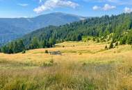 Einzigartige Landwirtschaft inkl. Hofstelle und eigener Quelle, umgeben von 52 ha arrondierter Wald- und Wiesenfläche