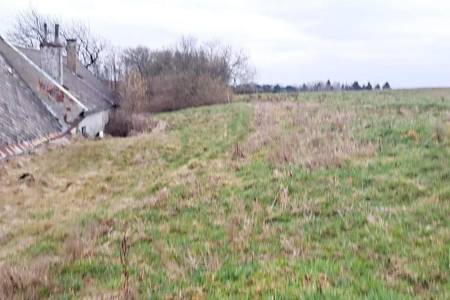 ZUM VERKAUF STEHT - ACKER, Grund und Boden-kauf, 95.000,€, 3110 Sankt Pölten(Land)