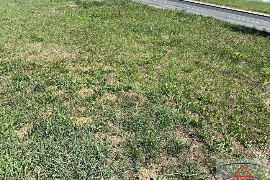 Schöner Bauplatz im Ortszentrum von Oberdorf!, Grund und Boden-kauf, 55.000,€, 7501 Oberwart