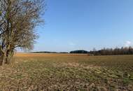 Vierkanter in guter Lage