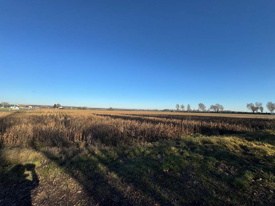 Ackerfläche Nähe Bad Radkersburg